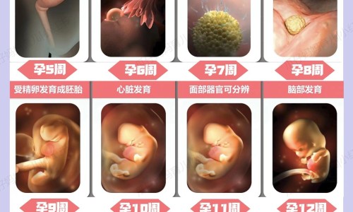 怎么样才算健康饮食专区_什么才叫健康专区_什么才算健康的食物网